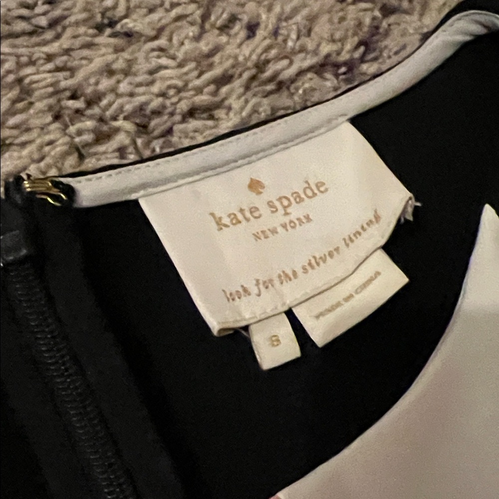 Kate Spade WM Size 8 Black Dress with Pink & White Pleated Front - Picture 2 of 5